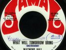 WAYMOND HALL What Will Northern Soul Funk 45 APOLLOS