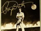 ROGER DALTREY 'AFTER THE FIRE' UK 12