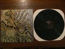 Circle Takes The Square - As The Roots Undo LP - Green