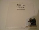 Malcolm Middleton Into The Woods LP Vinyl (Arab Strap)