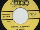 HEAR-Rare Doo Wop 45- Lee Andrews-ORIGINAL- Bluebird Of