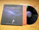 Van Morrison Magic time lp mint