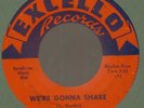Arthur Gunter We're gonna shake Excello 2137 blues 45