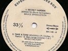BRUCE SPRINGSTEEN Secret Garden RARE BRAZIL 7