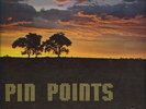 Pin Points No Dressing Rare Private Press Funk