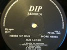 HERBS OF DUB Jah Lloyd dub LP DIP hear