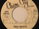 SHE DEVIL She Devil RARE DEEP DISCO/FUNK/BREAKS 45 mp3