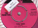 The PRIMITIVES 7