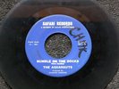 Hear THE AQUANAUTS Rumble on the Docks SAFARI S-1005
