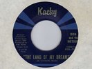 Teen garage RON & MOTIONS Land Of My Dreams KACKY  HEAR