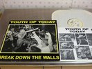 Youth of Today Break down the Walls LP Wishingwell NYHC