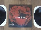 The Smashing Pumpkins Adore Vinyl LP MONO