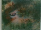 Pink Floyd A saucerful of secrets 1968