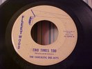 Fantastic Dee-Jays - RARE 60's GARAGE POP-Two Times Two