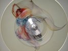 Fish - A gentleman's excuse me Uncut picture disc