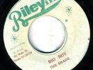 THE SHADE-BIG BOY-RARE-REGGAE 45 7