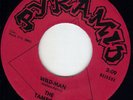 1967 NC garage punk The TAMRONS Pyramid BFTG Listen
