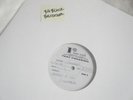 BIG BLACK BULLDOZER TEST PRESSING/rapeman/shellac/amrep