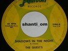 GARAGE 45 THE QUEST'S Shadows In The Night FENTON Hear