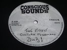 KING GENERAL MONEY RUN TINGS CONSCIOUS SOUNDS 10