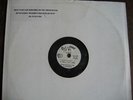 LEE PERRY DISCIPLES CENTRY ON-U Remix Ltd. 