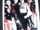 CLASH ORIGINAL SIGNED 10 X 8 EPIC PRESS PHOTO STRUMMER