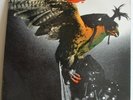 Budgie - In For The Kill Vinyl LP Record Album
