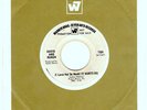 DAVID & RUBEN northern soul 45 WB “It Hurts Me” demo