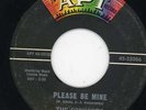 Consorts-Please Be Mine-NM Apt Doo Wop 45 