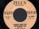 SOUL 45 Henry Hodge I WONT EVER TRY TO CHANGE YOU Zells