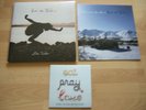 Eddie Vedder - Into the wild LP Pearl jam Neil young NM