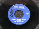 Hear THE AQUANAUTS Rumble on the Docks SAFARI S-1005