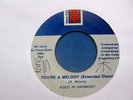 AGED IN HARMONY-YOU'RE A MELODY-MORTONES-MODERN BOOGIE