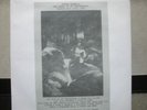 PETER HAMMILL / TOO MANY OF MY YESTERDAY - VDGG 2LP