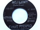 EVANS PYRAMID 