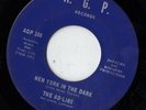 A.G.P. soul 45  THE AD-LIBS - New York In The Dark NICE