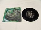 Pearl Jam 7