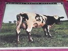 PINK FLOYD ATOM HEART MOTHER MFSL LP SEALED RARE