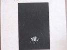 THE GREATEST ILLUSION, JOANNA CAZDEN - SISTER SUN LP