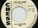 HEAR- Rare Doo Wop 45- The Quintones- I Try So Hard- M-