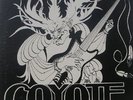 COYOTE - CAST OFF YOUR. PRIVATE PSYCH SOUTHERN ROCK LP