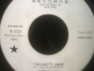 Mod Psych Garage Monster, THE RAVEN CALAMITY JANE -Rust