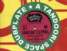 IRATION STEPPAS- WHAT'S WRONG FT YTSTEPPA UK REGGAE 10