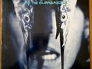 VYNAL RECORD KIM SALMON AND THE SURREALISTS HIT ME