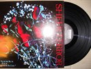 SHEER TERROR EURO2ND BLOOD FOR BLOOD CRO MAGS BREAKDOWN