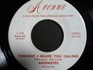 AGONISTES 45 PRE THIRD ESTATE PSYCH FOLK PROG HEAR IT