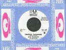 Rick McClellan Rare Mod Psych WLP 45 Frozen River HEAR