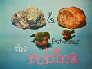 THE ROBINS ``ROCK N`ROLL´´ LP WHIPPET WLP 703, SUPERB 