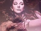 KATE BUSH- HOUNDS OF LOVE Rare RSD RECORD STORE DAY