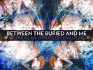 Between The Buried And Me Record Store Day RSD Parallax